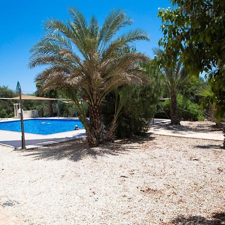 Marcelia Napa Suites Ayia Napa Exteriör bild